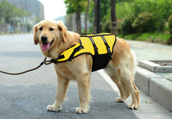 Adventure Life Vest - Standard Edition